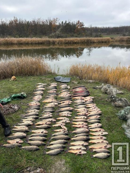 Наловили на понад 600000 грн: на Криворіжжі викрили браконьєрів3