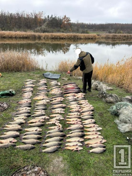 Наловили на понад 600000 грн: на Криворіжжі викрили браконьєрів1