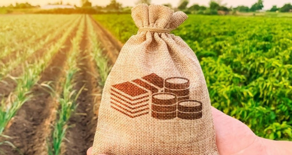 Платники Дніпропетровщини та Києва забезпечили понад третину земельного податку за 10 місяців 2025 року0