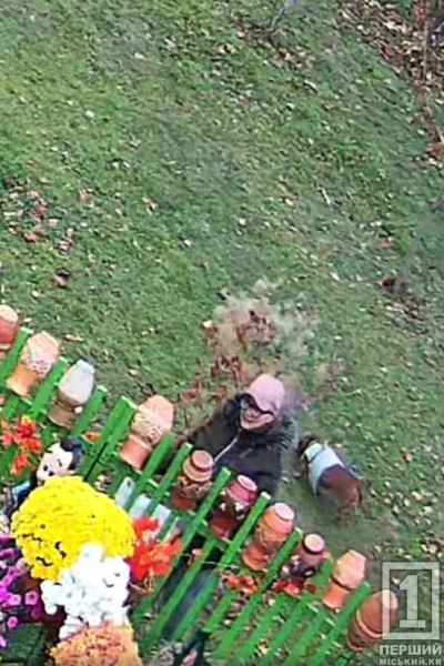 «Прийшла з кусачками та постійно озиралася»: у парку «Щастя» знову скоїли крадіжку4