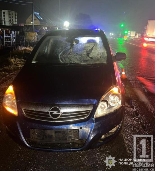 Шансів вижити не було: 69-річний водій фури з Дніпропетровщини наїхав на жінку на Львівщині1