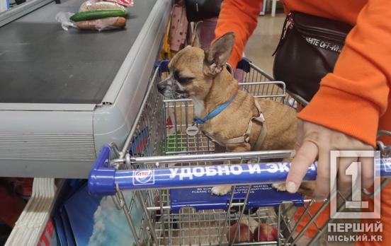 Синхронізація допомоги: Уряд змінив перелік товарів і послуг, на які можна витрачати «Нацкешбек»