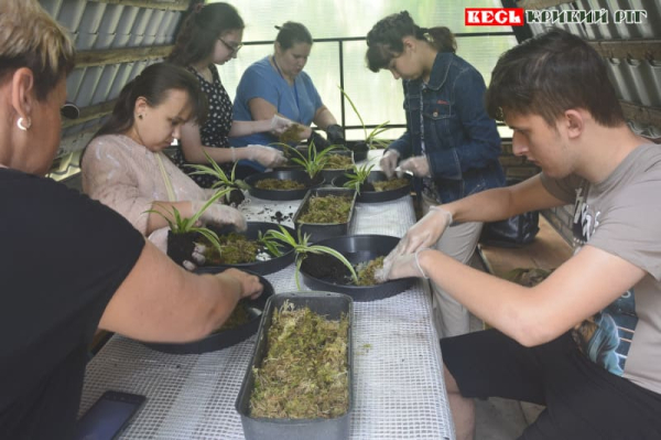 Майстер-клас зі створення кокедам в Криворізькому ботсаду