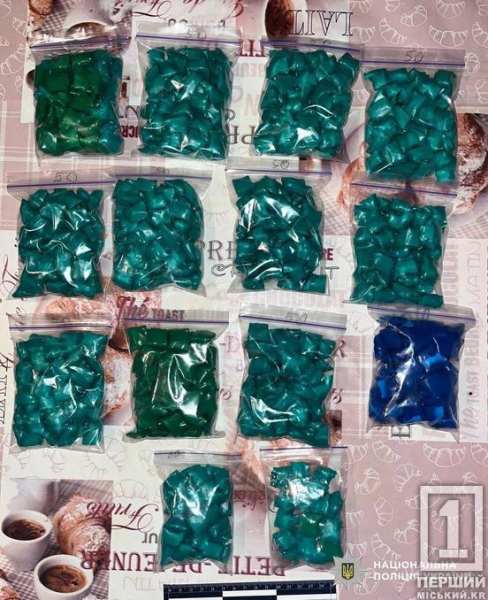 Замість заробітку на наркозалежних – в’язнична камера: на Дніпропетровщині засудили жінку через оборудку з психотропами на 5+ млн грн3