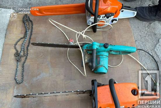 Заробляли на продажі незаконно зрубаних дерев: у Дніпропетровській області судитимуть «чорних» лісорубів1