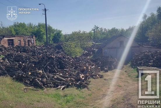 Заробляли на продажі незаконно зрубаних дерев: у Дніпропетровській області судитимуть «чорних» лісорубів3