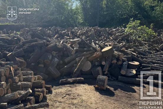 Заробляли на продажі незаконно зрубаних дерев: у Дніпропетровській області судитимуть «чорних» лісорубів2