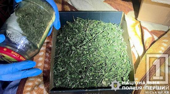 Зберігав заборонки на +100 тисяч грн: у Кривому Розі під суд піде чоловік який вдома мав нарко-склад2