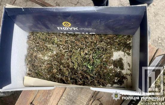 Зберігав заборонки на +100 тисяч грн: у Кривому Розі під суд піде чоловік який вдома мав нарко-склад1