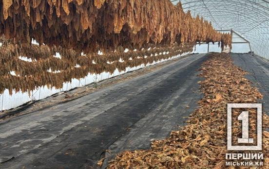 Бізнес повного циклу без документів та 500 кг продукції: БЕБ затримало торговців тютюном