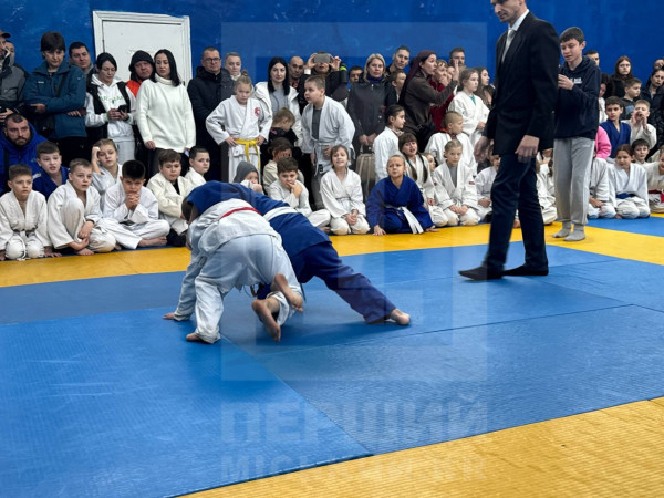 Близько 120 юних спортсменів змагалися у новорічному турнірі з дзюдо2