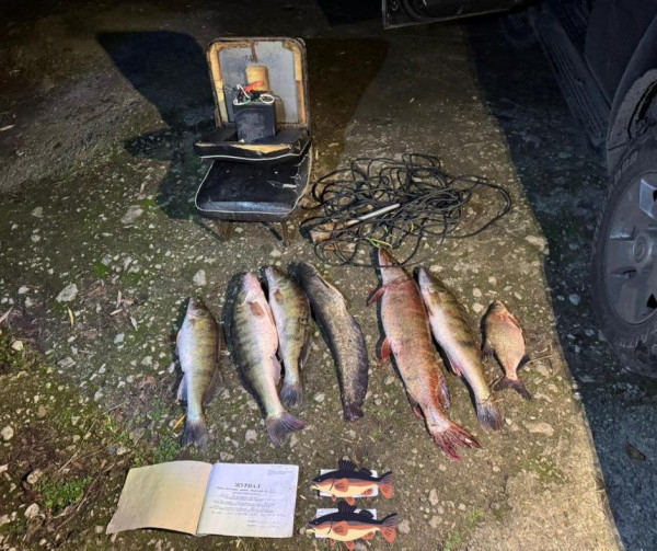 Глушили рибу струмом: на Дніпропетровщині затримали браконьєрів0