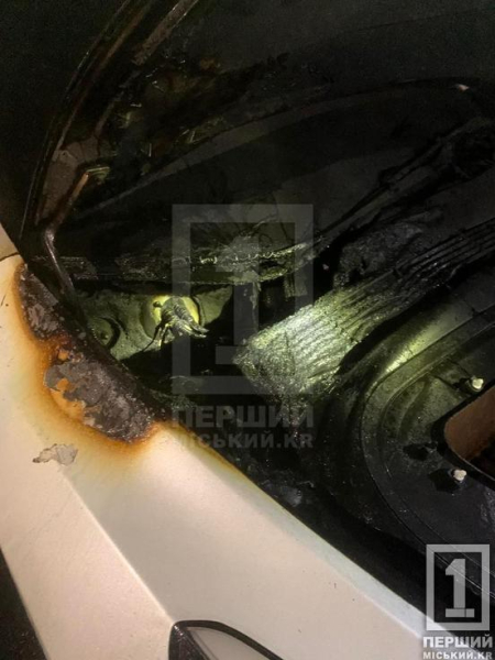 На вулиці Генерала Радієвського горіла Tesla: підозрюваного у підпалі затримали3