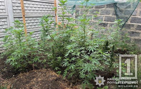 «Пристрасть» до наркотиків довела до нового суду: у Криворізькому районі перед Фемідою постане 42-річний чоловік