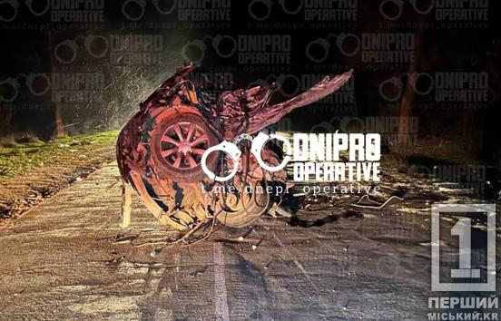 Трагічна аварія у Криворізькому районі: легковик розірвало після зіткнення з електроопорою2