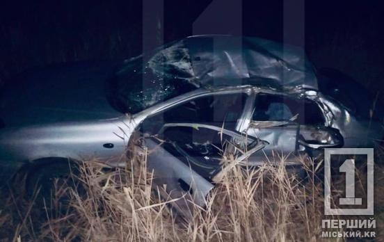 Трагічна поїздка: на Криворіжжі обірвалося життя підлітка після аварії