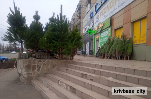 У Кривому Розі діють ялинкові ярмарки 