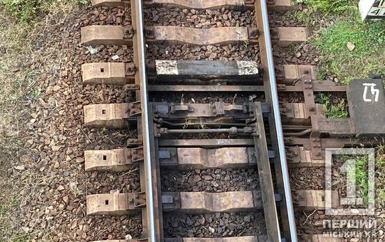 У «мріях» про гроші міг паралізувати рух залізницею: диверсант з Дніпропетровської області проведе подальші роки за ґратами