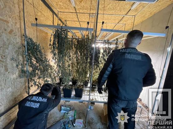 Вклав мільйони у конопляну ферму «для всієї області»: затримано наркоділка з Дніпра2