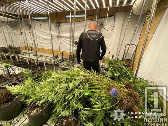 Вклав мільйони у конопляну ферму «для всієї області»: затримано наркоділка з Дніпра4