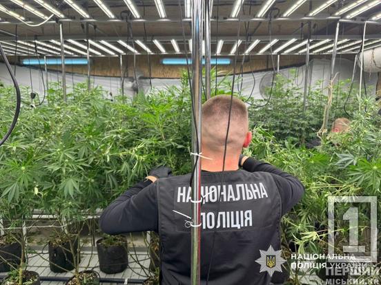 Вклав мільйони у конопляну ферму «для всієї області»: затримано наркоділка з Дніпра5