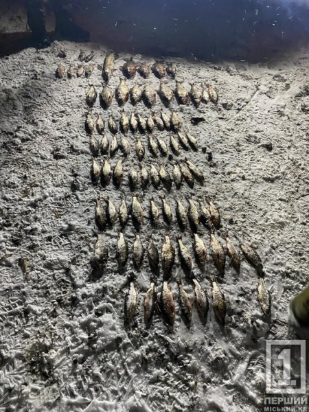 Все загріб у сітки: на Криворіжжі викрили браконьєра, що завдав шкоди на понад 130 тис грн.1