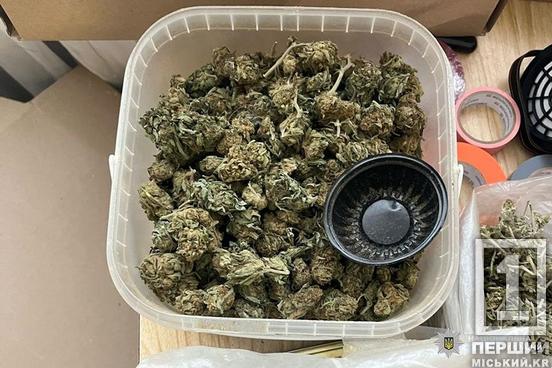 200 тис заробітку щомісяця: судитимуть чоловіків, що накачували наркотиками Дніпропетровщину та ще дві області2