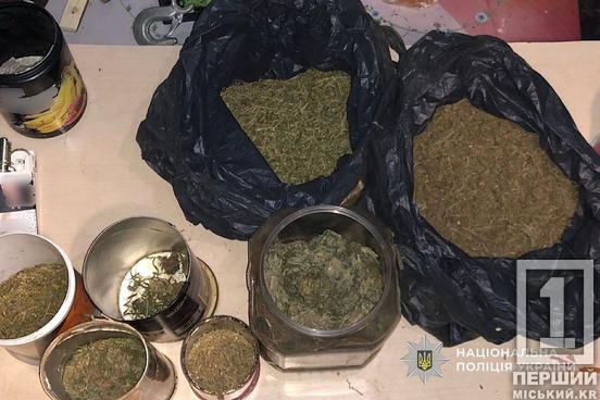 Боєприпаси та «травка» для невідомої мети: на Криворіжжі поліція нагрянула до чоловіка2