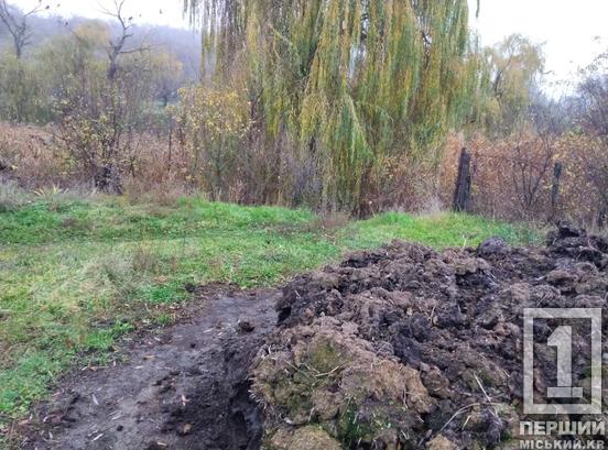 Купа гною - на березі річки: поблизу Саксагані у Кривому Розі серйозно забруднили ґрунт1