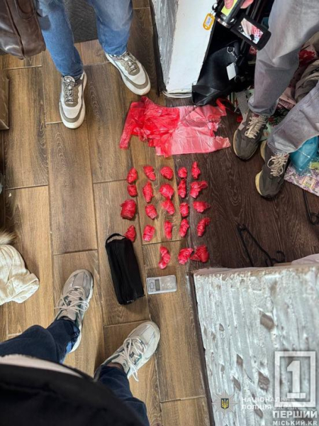 Мільйонний заробіток на наркотиках та звіряче побиття людини: на Дніпропетровщині судитимуть банду7