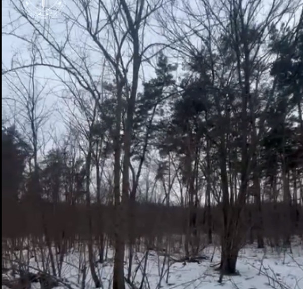 На Дніпропетровщині викрито схему незаконного переоформлення державних земель ДП «Ліси України»0