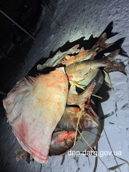 Незаконний нічний вилов на сотні тисяч: на Криворіжжі викрили браконьєра 1