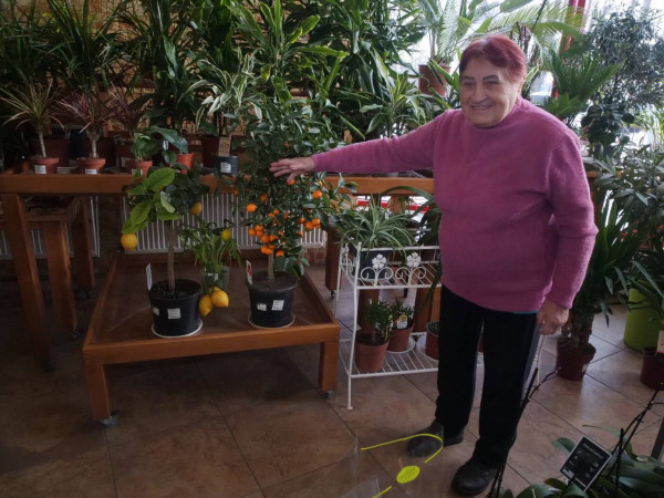 Підтримка бізнесу, що дає результат: нові робочі місця та розвиток власної справи завдяки грантовим програмам у Кривому Розі4