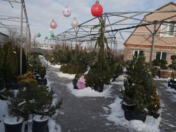 Підтримка бізнесу, що дає результат: нові робочі місця та розвиток власної справи завдяки грантовим програмам у Кривому Розі8