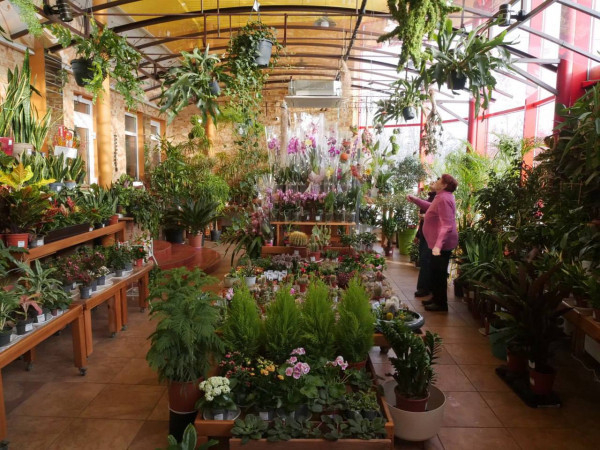 Підтримка бізнесу, що дає результат: нові робочі місця та розвиток власної справи завдяки грантовим програмам у Кривому Розі1