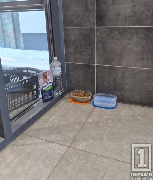 Поштовх дала надто морозна зима: Україна може оновити правила перебування тварин у магазинах і не тільки6