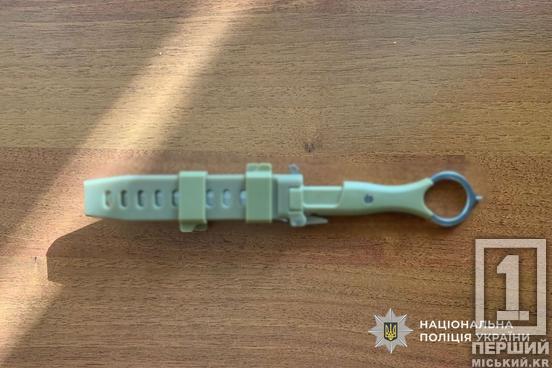 Пустив у хід кулаки й ніж: на Дніпропетровщині онук ледь не вбив власного дідуся1