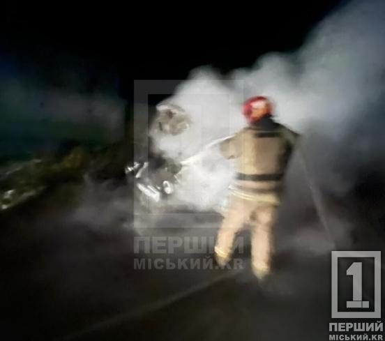 Спалах вогню посеред нічної вулиці: у Центрально-Міському районі Кривого Рогу вщент згорів бус Renault2