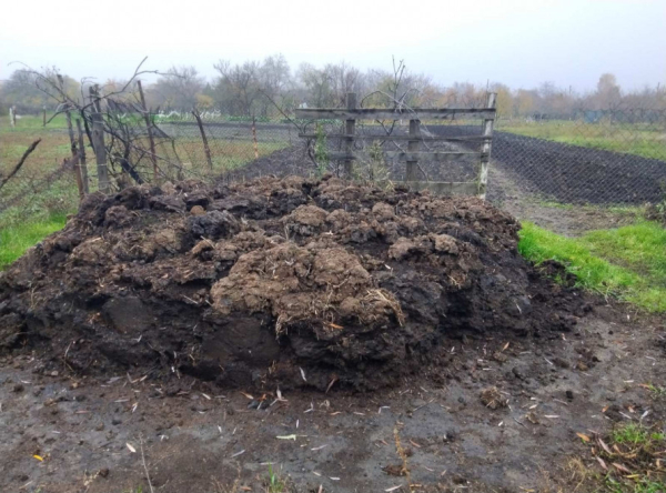 У Кривому Розі купа гною забруднила річку Саксагань: Держекоінспекція1
