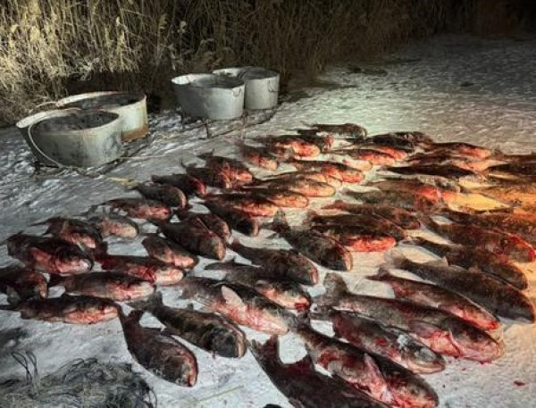 У Криворізькому районі затримали браконьєра, який виловив майже 700 кг риби0