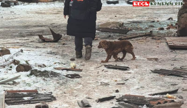 Наслідки повітряного удару по Кривому Рогу показали в ДСНС