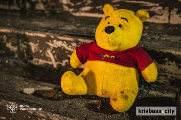Від російського удару по будинку у Харкові загинули мама і син з Кривого Рогу2