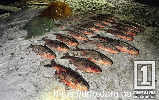 Влаштував нічний спринт по кризі: на Карачунівському водосховищі нічний баконьєр тікав від рибохорони