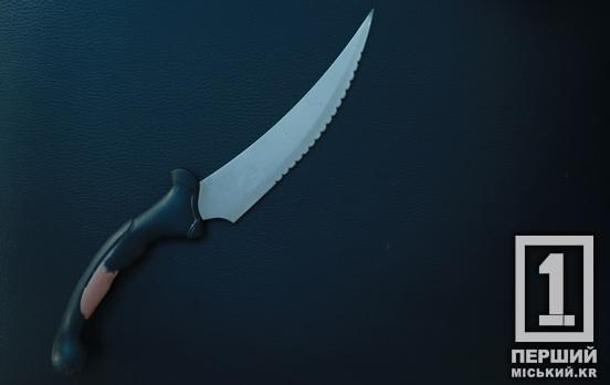 Зброя, кайданки, молотки, алкоголь і не тільки: в Україні підготували перелік заборонених предметів для шкіл