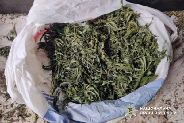 Гранати, понад 200 патронів і наркотики: у Кривому Розі затримали 26-річного чоловіка2