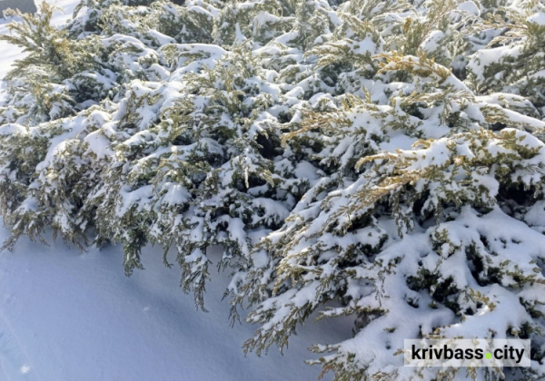 сніг у Кривому Розі, фото редакції krivbass.city