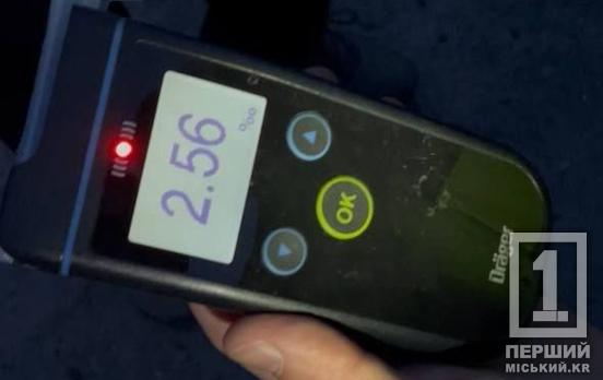 Майже в 13 разів вище норми: у Покровському районі піймали сильно п’яного водія Skoda