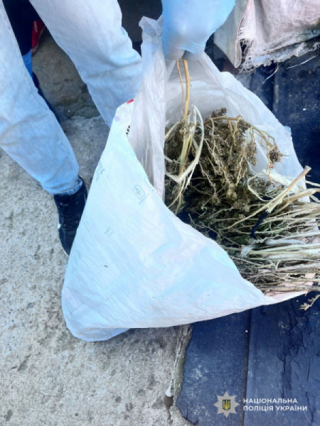 На Дніпропетровщині поліцейські викрили місцевого жителя, який зберігав у себе вдома наркотики0