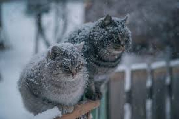 На Дніпропетровщині прогнозують морозну, але суху погоду0