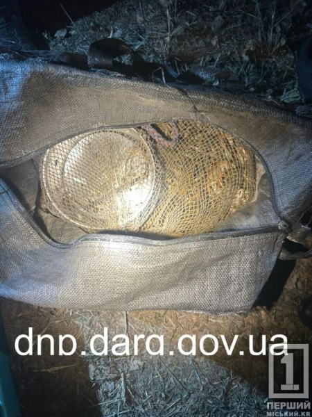 Пірнали з аквалангом за раками: у Криворізькому районі двоє браконьєрів назбиткували на понад 2,8 млн гривень2